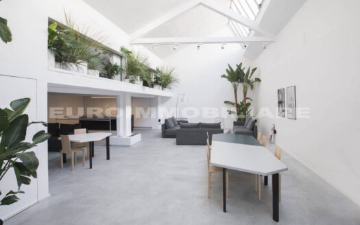 Loft in vendita – T659