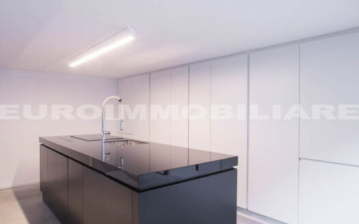 Loft in vendita – T659